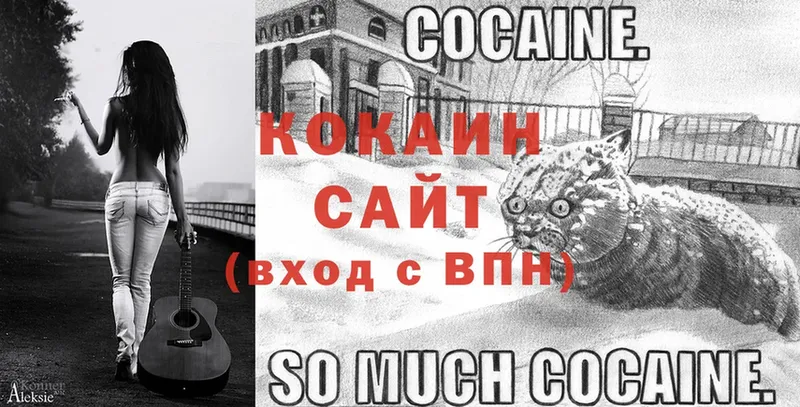 COCAIN 99%  Городец 